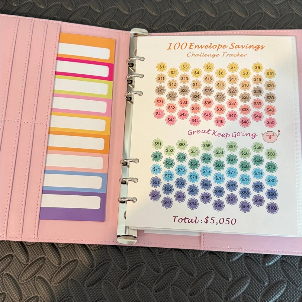 Pink Savings Challenge Envelope Organizer